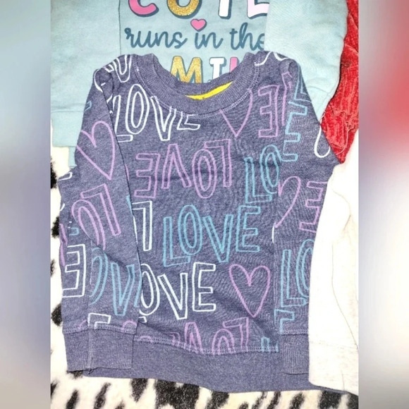 Sweatshirt Hoodie Jacket Lot for Baby Girls size 18 Month Cozy Casual Warm - Picture 5 of 14